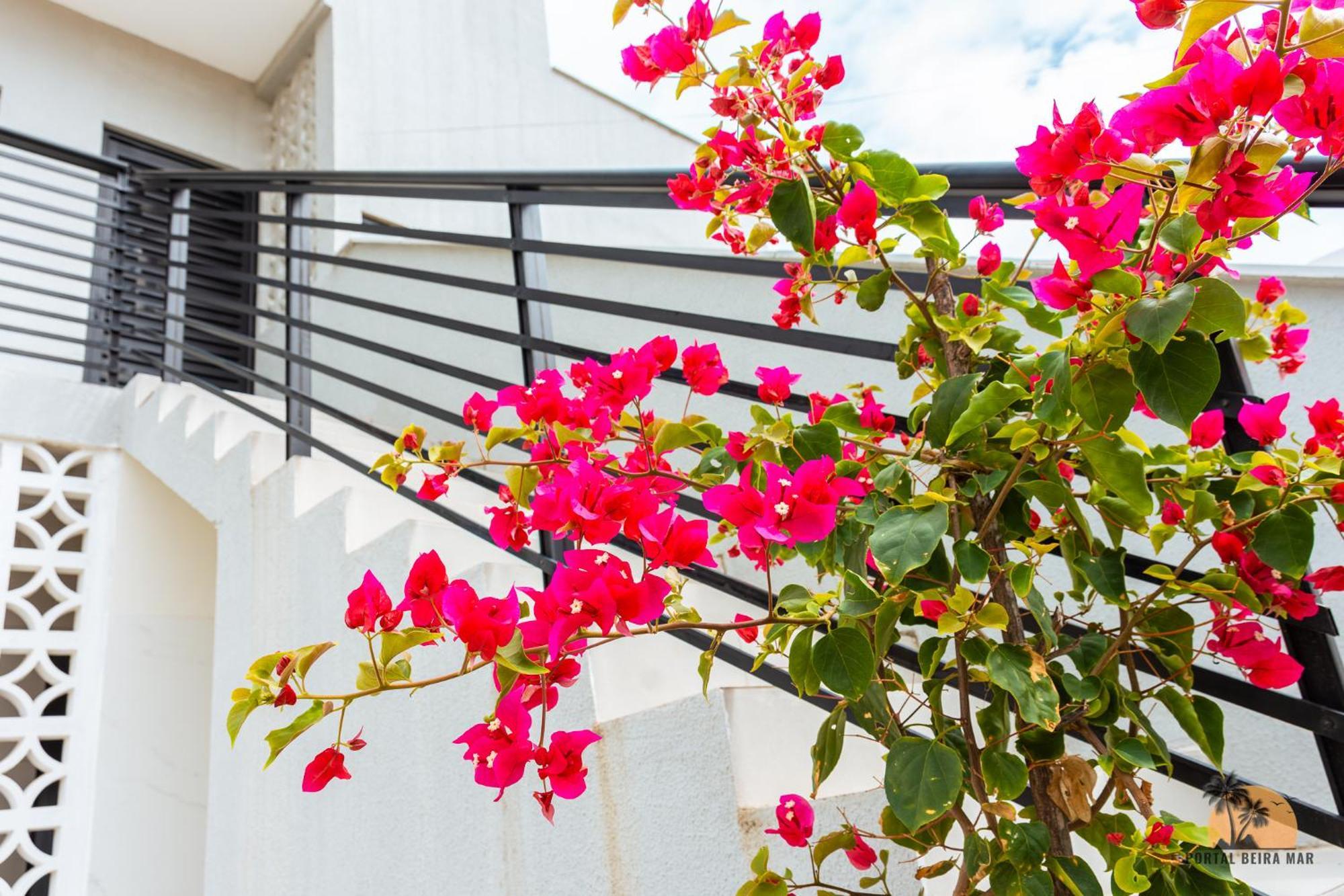 Portal Beira Mar Apartment Tamandaré Екстериор снимка